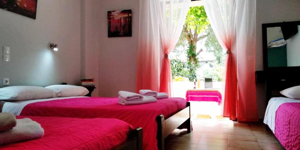 Kuris Studios & Apartments Vasilikí 外观 照片