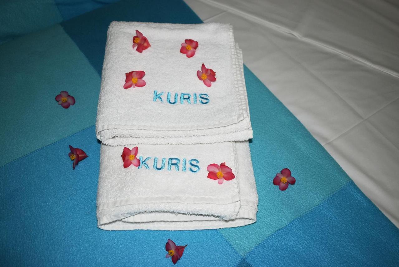 Kuris Studios & Apartments Vasilikí 外观 照片