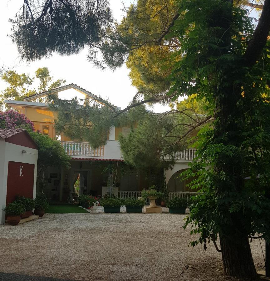Kuris Studios & Apartments Vasilikí 外观 照片